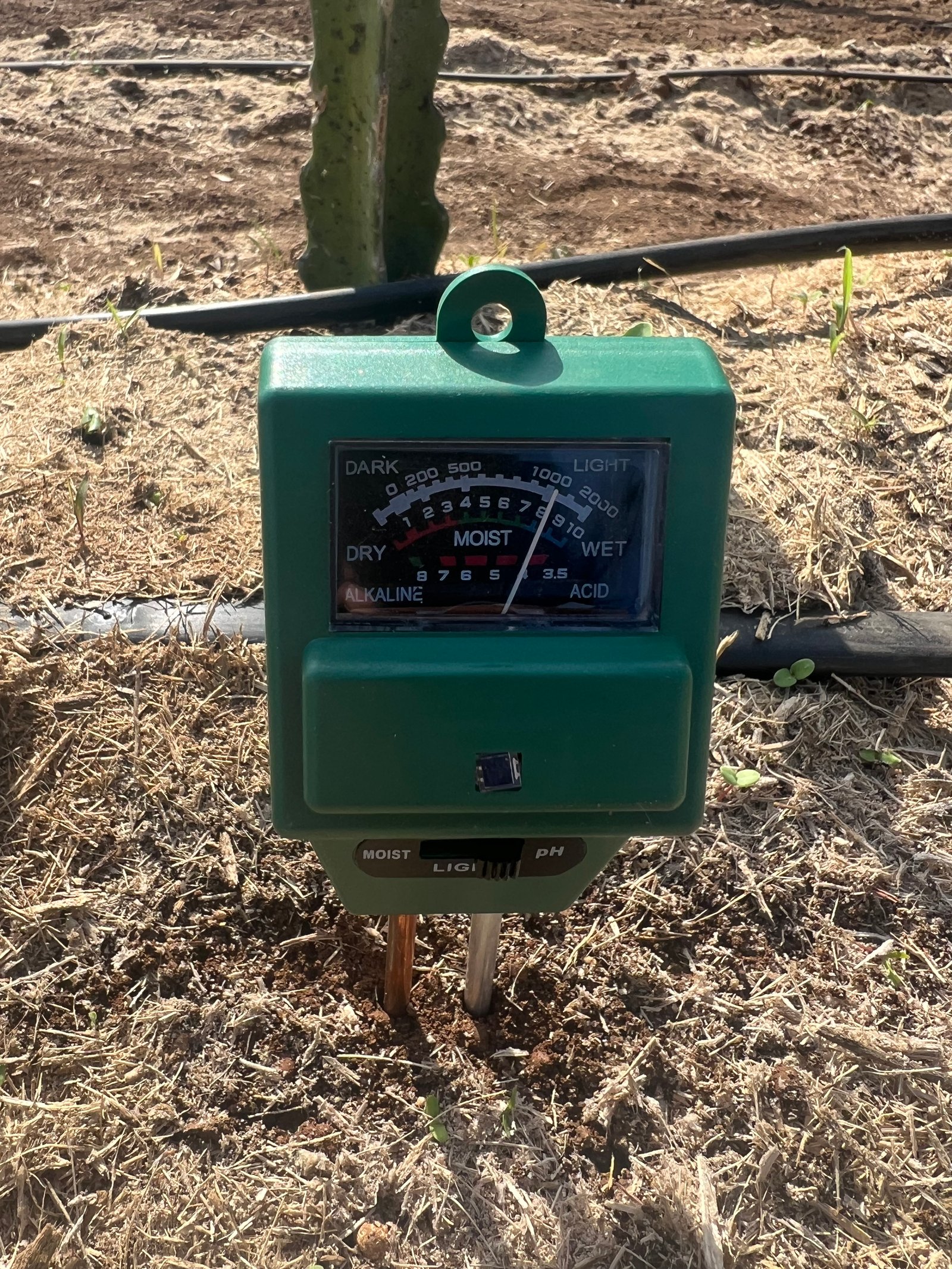 Farming harvest